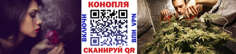 Каннабис MAZAR Балабаново